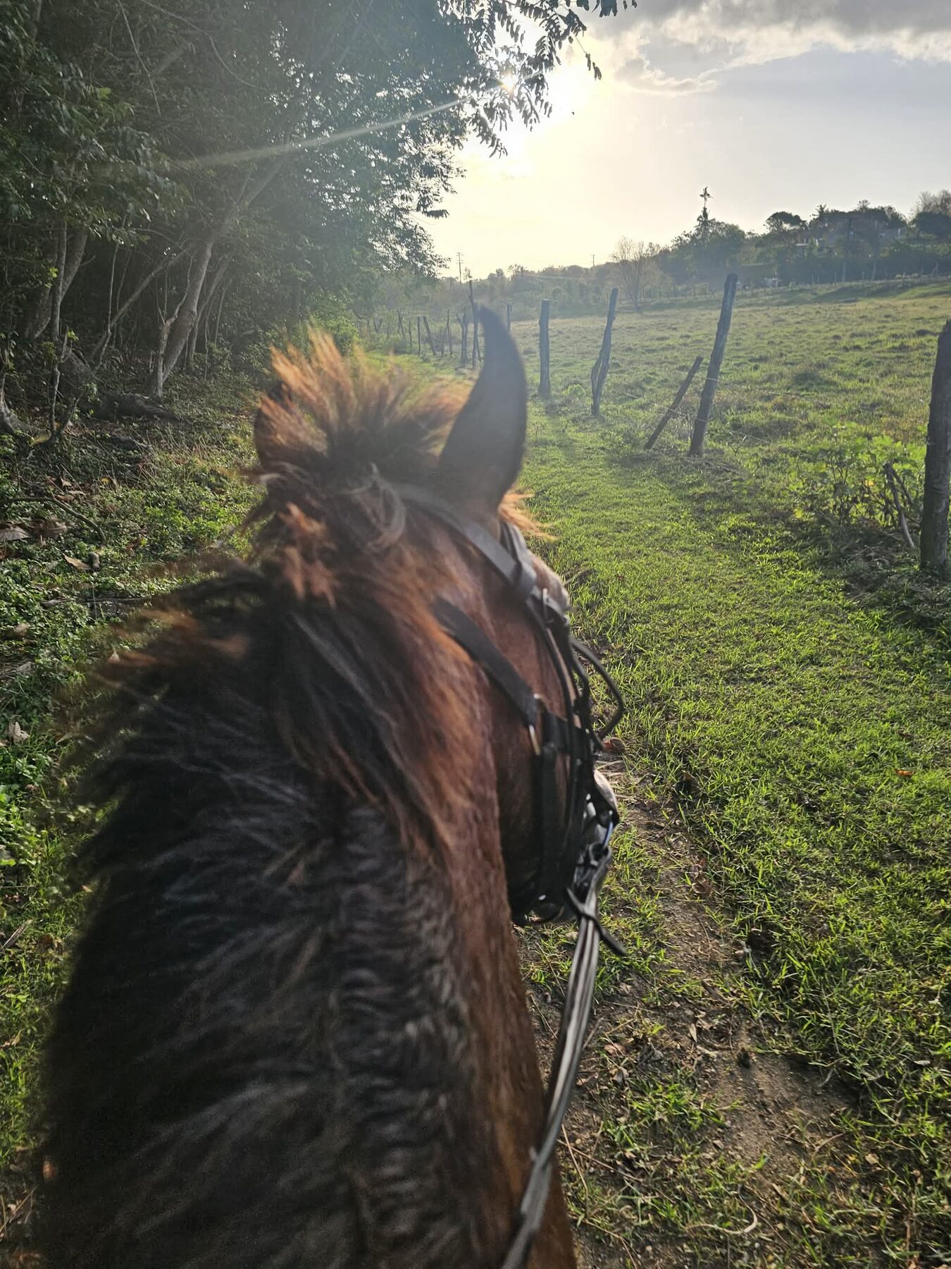 Coastline Beauty Ride