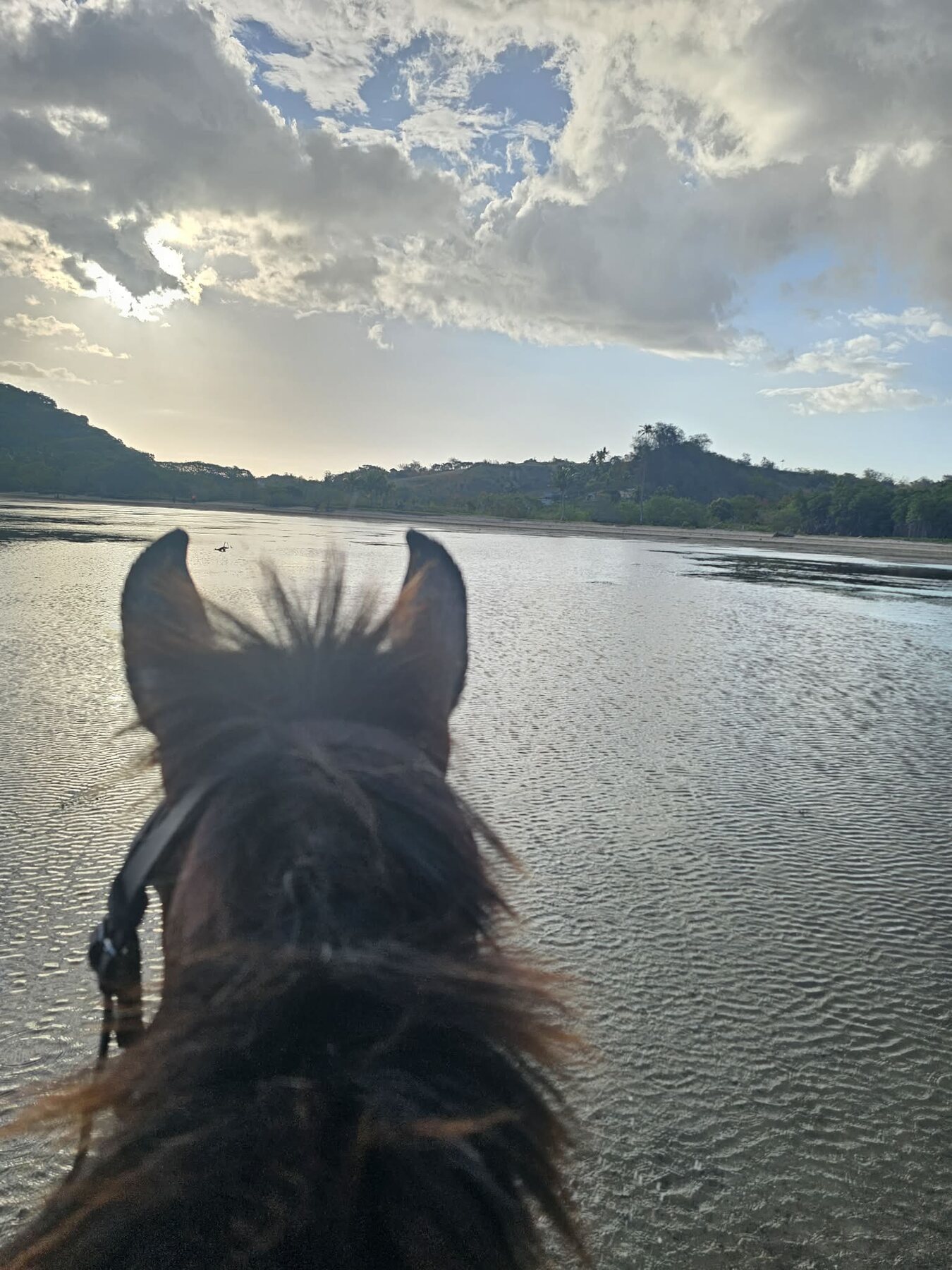 Coastline Beauty Ride